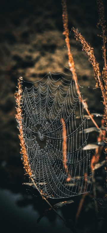 mdr.com App 设置界面截图，列出网络省流、缓存清理、权限说明与账号同步等选项开关